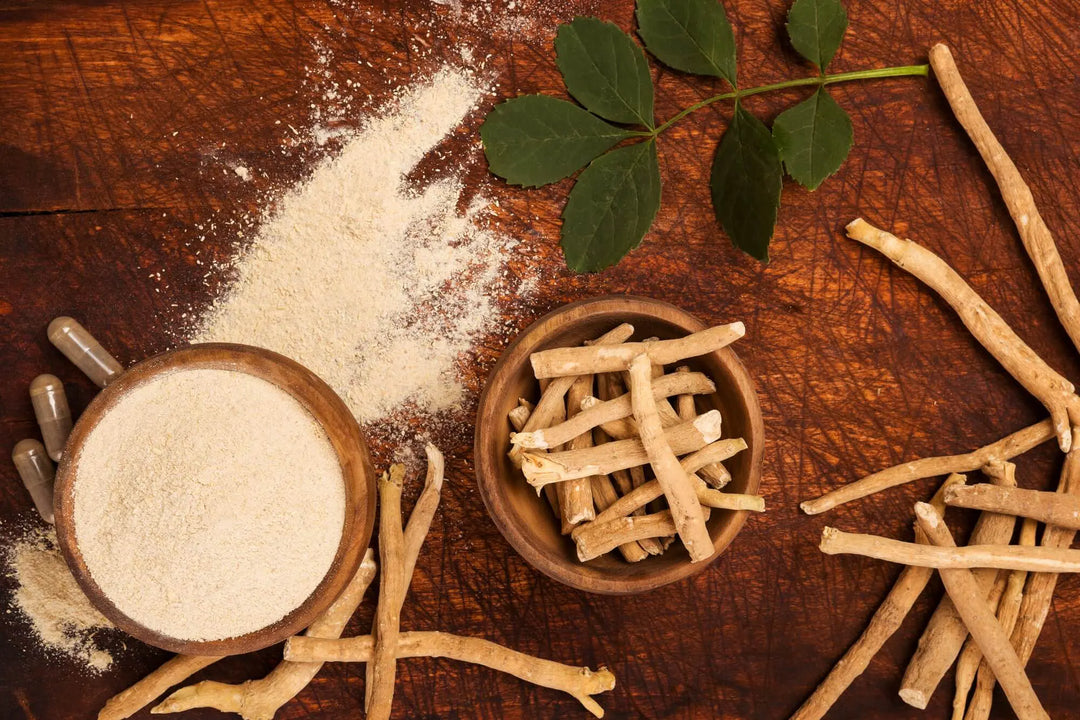 Ashwagandha Health Benefits Being Studied Today