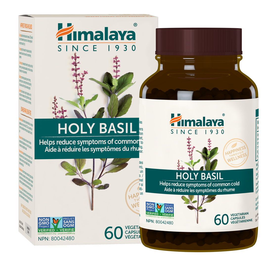 Holy Basil